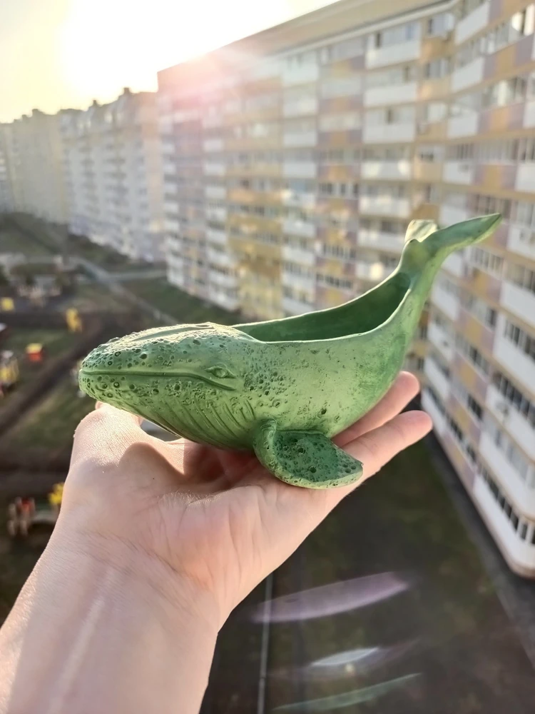 Фото покупателя